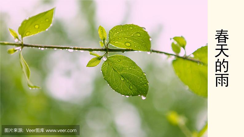 3、雨的四季 课件+J教案+同步测试题—部编版七年级语文上册(共30张PPT)01