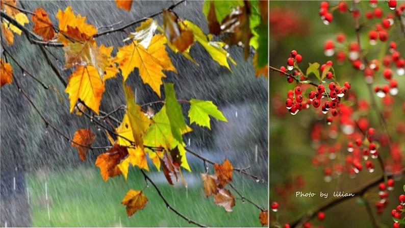 3、雨的四季 课件+J教案+同步测试题—部编版七年级语文上册(共30张PPT)08