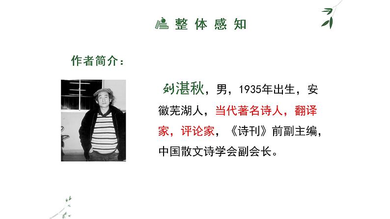 部编版七年级语文上册--3《雨的四季》课件04