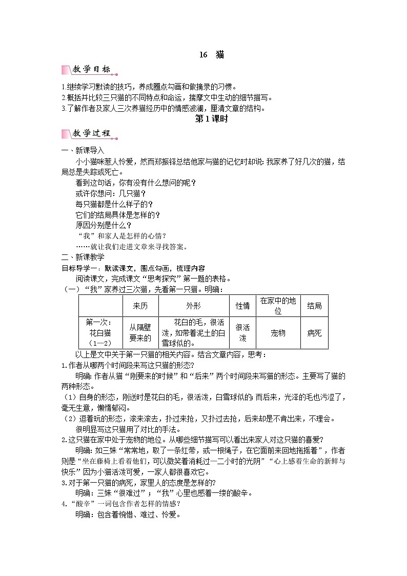 16 猫 教案第1页
