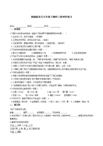 初中语文人教部编版九年级下册2* 梅岭三章当堂检测题