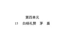 初中语文人教部编版八年级上册14 白杨礼赞习题课件ppt