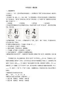 甘肃省临洮县2021年中考语文一模试卷含答案