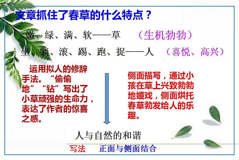 2021-2022 统编教材七年级上册 《春》第二课时课件06