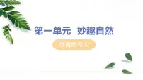 人教部编版七年级上册2 济南的冬天教学ppt课件