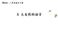 初中语文人教部编版八年级下册5 大自然的语言说课课件ppt