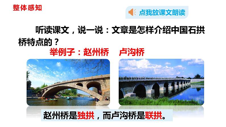 部编版八上语文--18 中国石拱桥 课件第7页