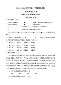 江苏省徐州市新城实验学校2020—2021学年度第一学期期中检测九年级语文试题+答案