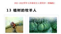 人教部编版七年级上册13 植树的牧羊人备课课件ppt