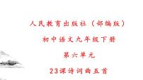 初中语文古诗词《过零丁洋》课件
