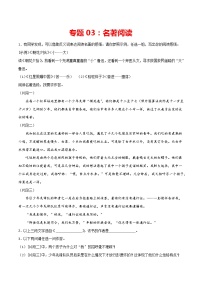 专题03：名著阅读-2021-2022学年八年级语文上册期中专项复习（部编版）