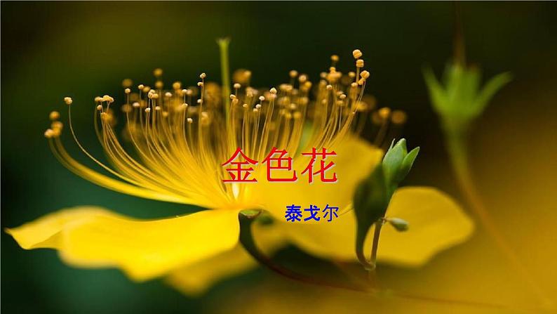 人教部编版七年级语文上册《7 散文诗二首》教学课件PPT优秀公开课第5页