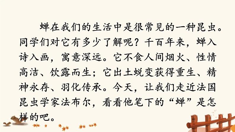 2021年初中语文 人教部编版 八年级上册 第五单元 20 蝉(课件)第3页