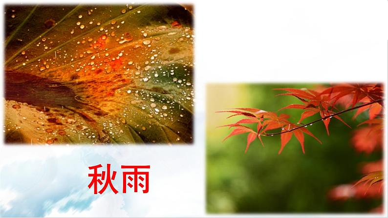 2021-2022学年初中语文 人教部编版(五四制) 七年级上册 第一单元 3 雨的四季 课件03