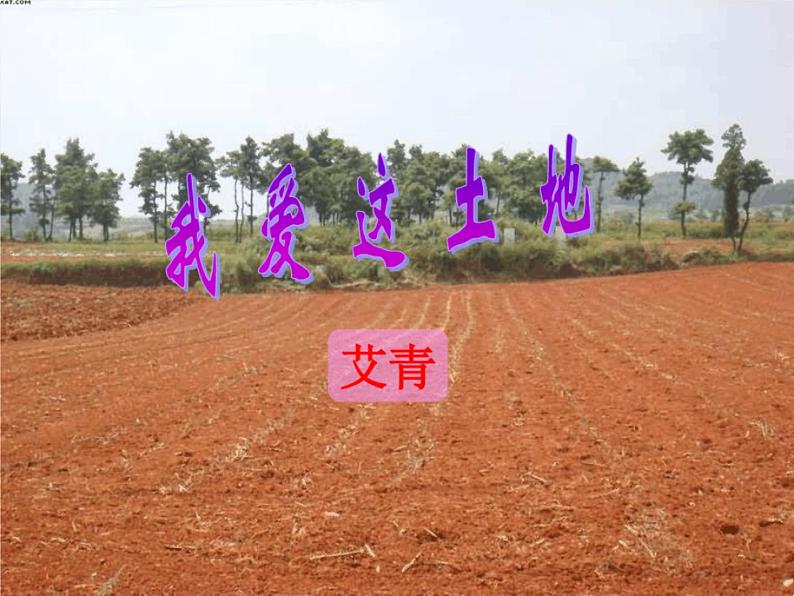 2021-2022学年 初中语文 人教部编版(五四)(2018)九年级上册 2《我爱这土地》 课件第2页