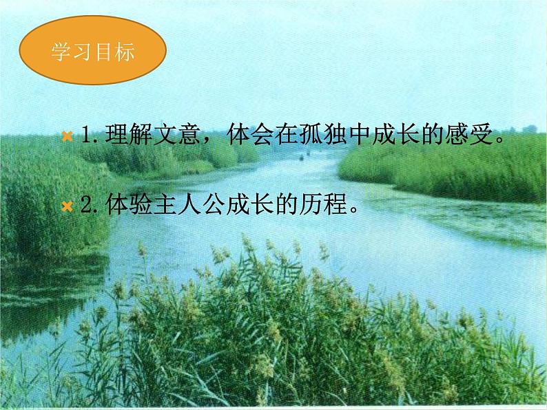 2021-2022学年 初中语文 人教部编版(五四)(2018)九年级上册 16《孤独之旅》 课件第2页