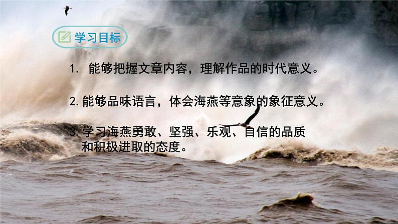 部编版九年级下册语文4 海燕 课件02