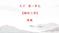 人教部编版九年级下册2* 梅岭三章完美版习题课件ppt