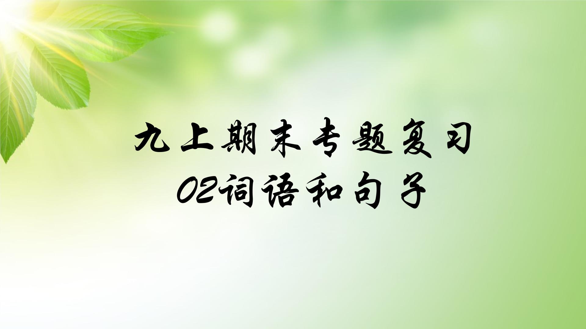 人教部编版语文九年级上册期末专题复习课件之02词语和句子