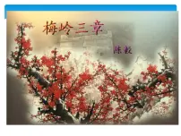 初中语文人教部编版九年级下册2* 梅岭三章示范课ppt课件