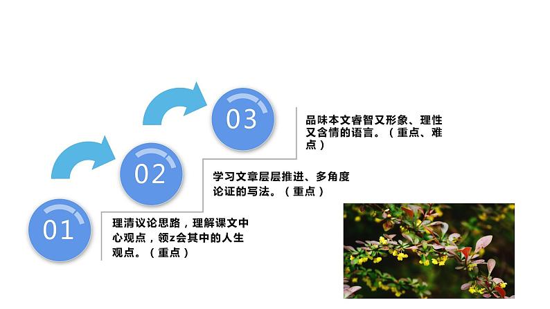 16 散文两篇 永久的生命 课件第5页