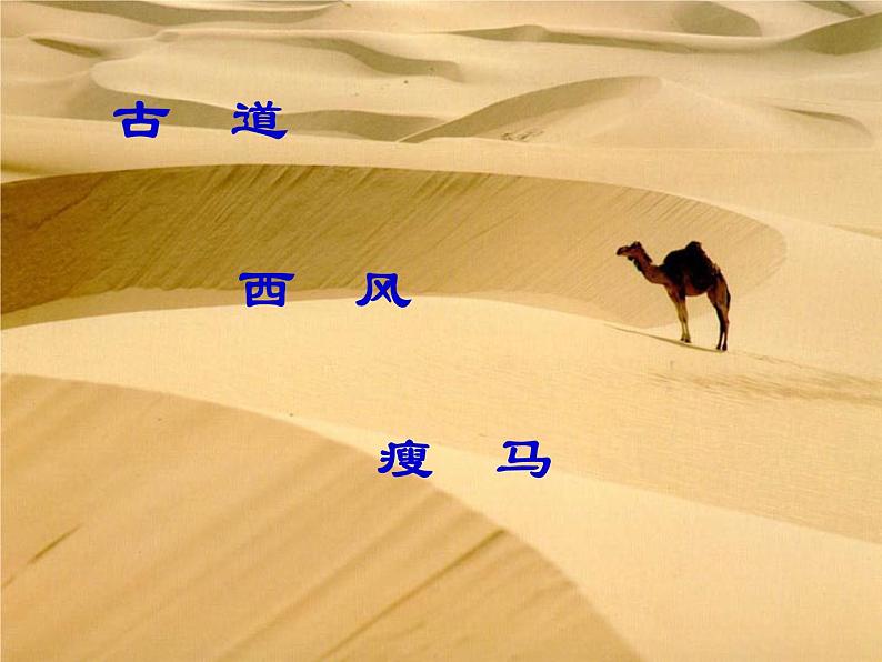 部编版七年级语文上册课件4.古诗词四首-天净沙·秋思课件11张PPT第5页