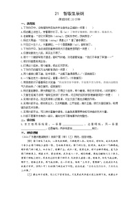 初中语文人教部编版九年级上册22 智取生辰纲精练