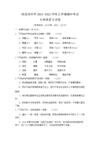 河南省固始县桃花坞中学2021-2022学年七年级上学期期中考试语文试题