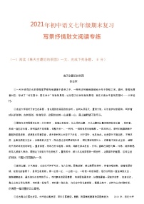 期末复习写景抒情散文阅读专练（无答案）2020-2021学年部编版语文七年级上册