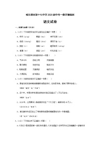 2020年黑龙江省哈尔滨市第十七中学中考一模语文试卷（含答案）