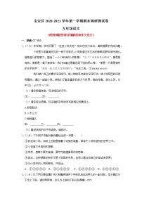 广东省深圳市宝安区2020-2021学年九年级上学期期末调研语文测试卷(含答案)