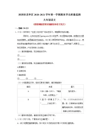 广东省深圳市龙华区2020-2021学年九年级上学期期末学业质量监测语文试卷（解析版）