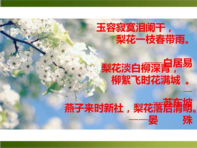 七年级上册《 驿路梨花》课件PPT03