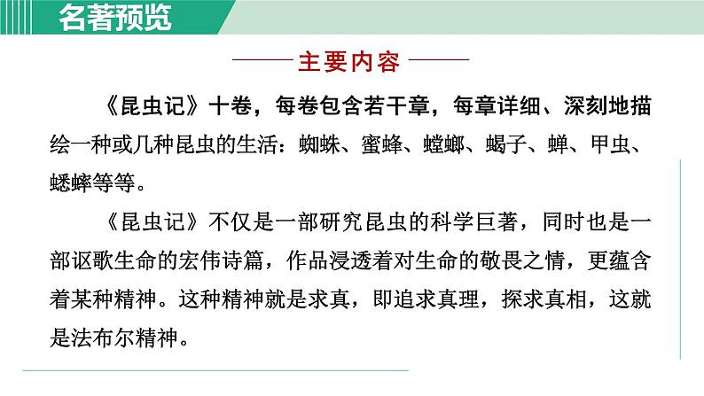部编版语文八年级上册 第五单元 名著导读:《昆虫记》课件PPT03