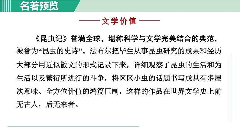 部编版语文八年级上册 第五单元 名著导读:《昆虫记》课件PPT05