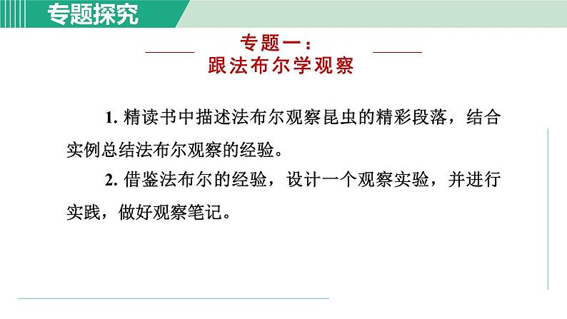 部编版语文八年级上册 第五单元 名著导读:《昆虫记》课件PPT06