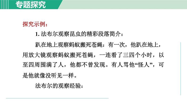 部编版语文八年级上册 第五单元 名著导读:《昆虫记》课件PPT07