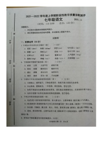 山东省临沂市兰山区2021-2022学年七年级上学期期中语文试题（图片版     不含答案）