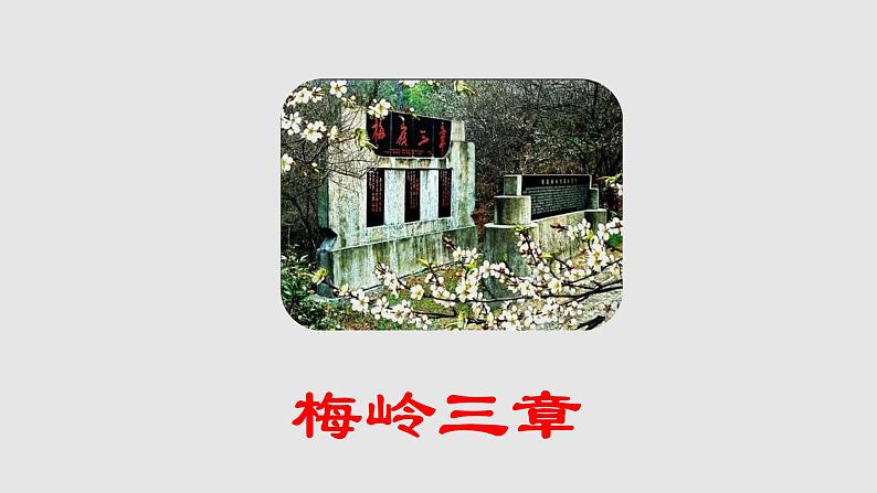 第2课《梅岭三章》课件(共27张PPT)2021—2022学年部编版语文九年级下册01