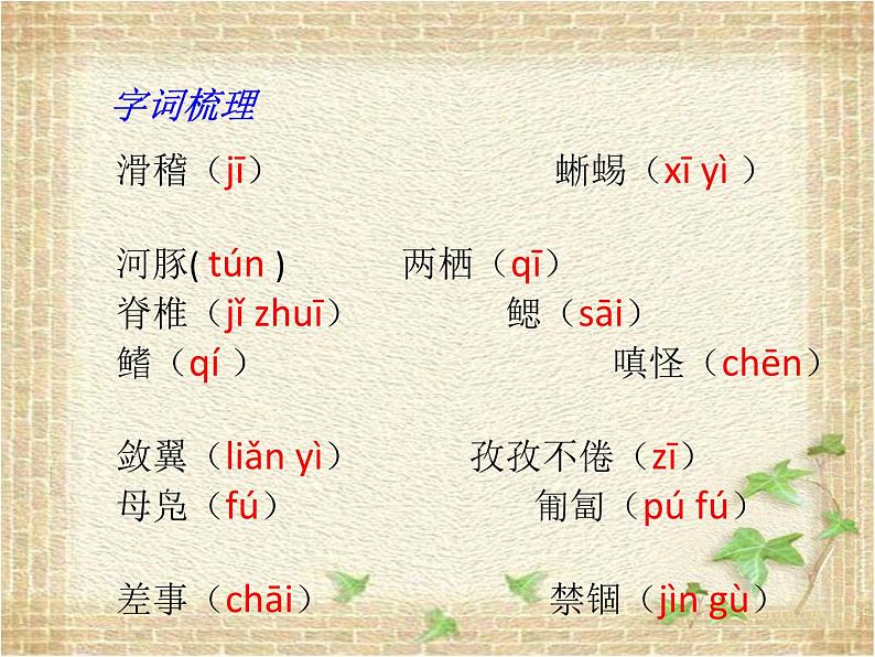 第17课《 动物笑谈》课件(共20张PPT)2021—2022学年部编版语文七年级上册第4页