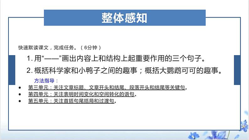第17课《动物笑谈》课件(共16张PPT)2021—2022学年部编版语文七年级上册05