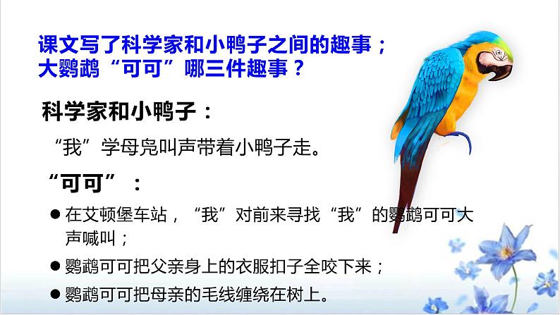 第17课《动物笑谈》课件(共16张PPT)2021—2022学年部编版语文七年级上册07