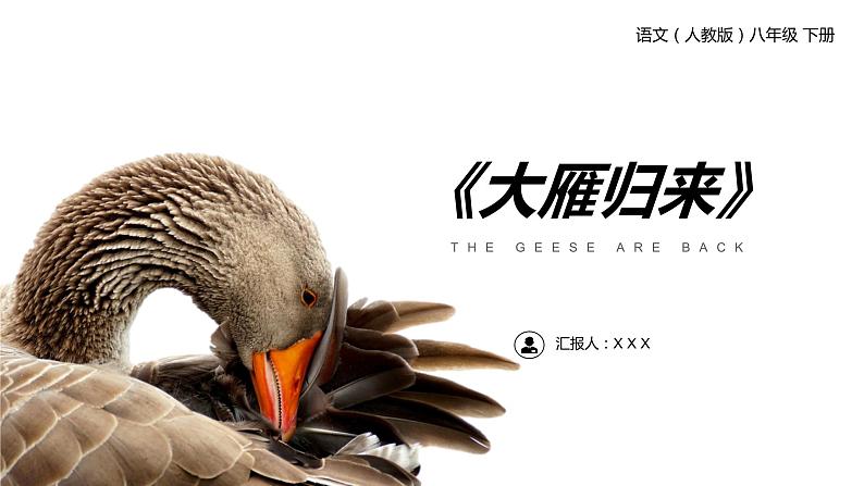 《大雁归来》人教版八年级下册语文PPT课件第1页