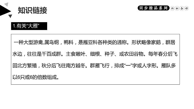 《大雁归来》人教版八年级下册语文PPT课件第3页
