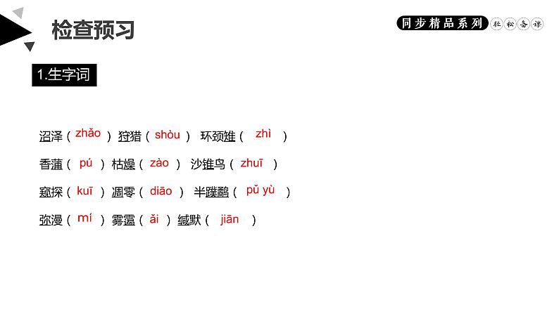 《大雁归来》人教版八年级下册语文PPT课件第6页