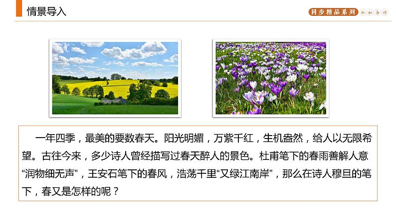 《我看》人教版九年级上册语文PPT课件第2页