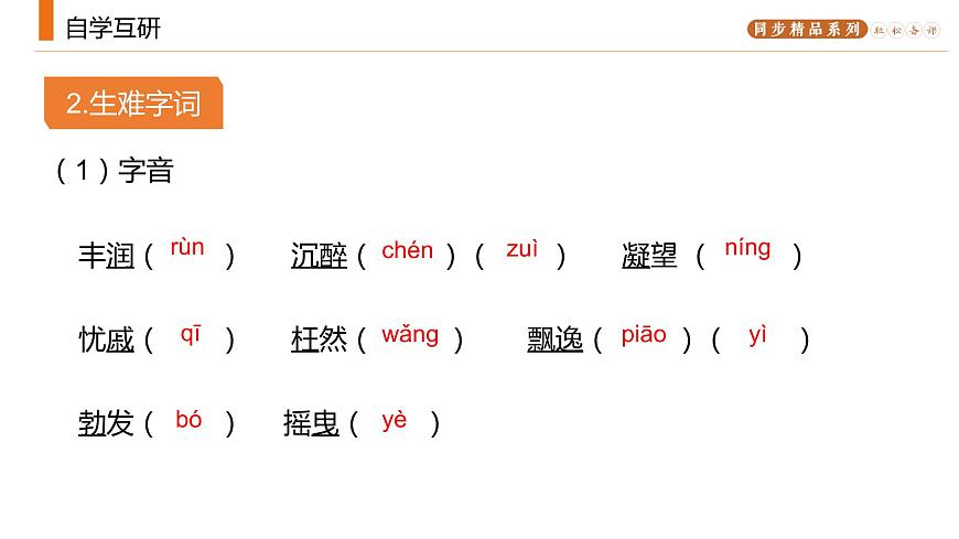 《我看》人教版九年級上冊語文PPT課件第5頁