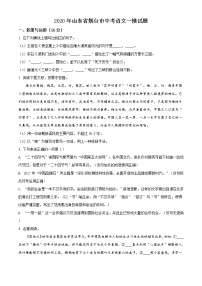 精品  2020年山东省烟台市中考一模语文试题