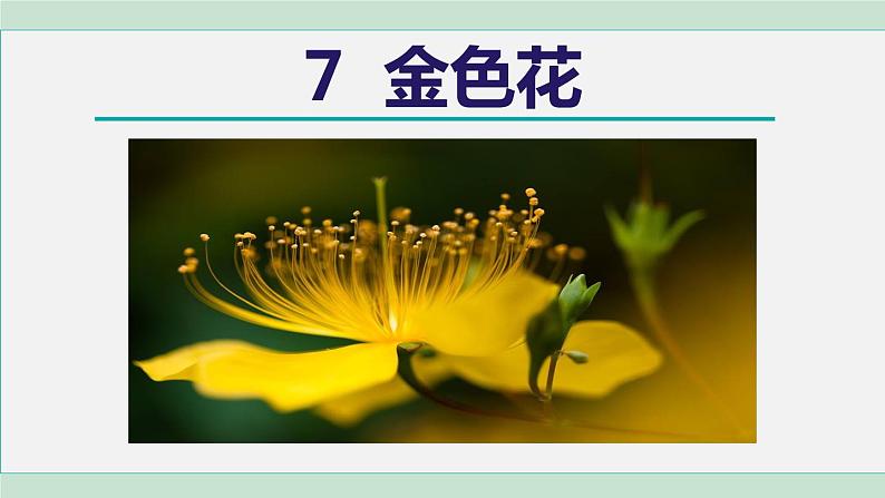 7*《散文诗两首》 课件+素材02