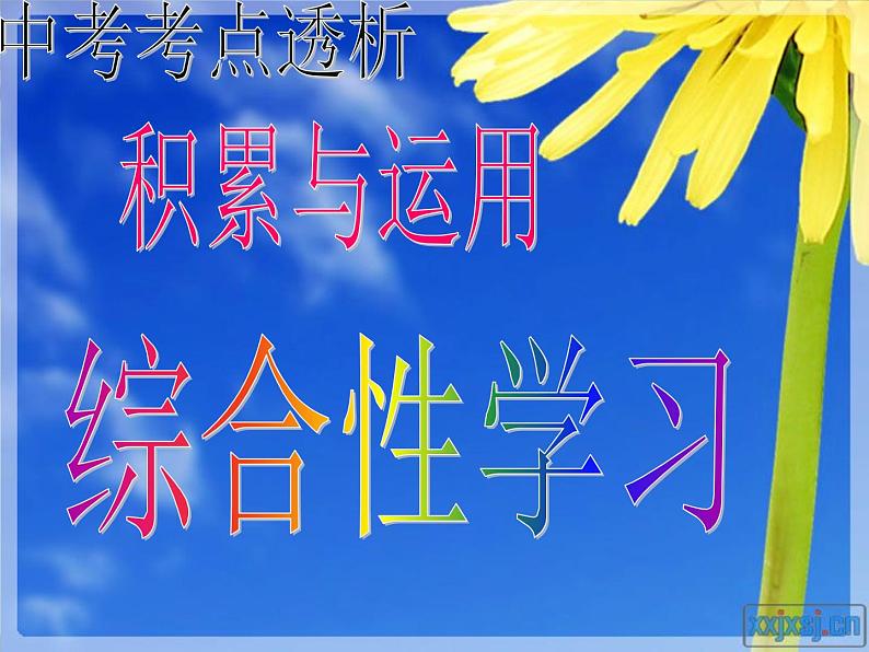 9中考语文考点透析语基—综合性学习第2页